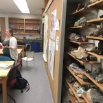 A unique way to store rocks!