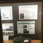 Student Posters and a 50lb. Mass Rock