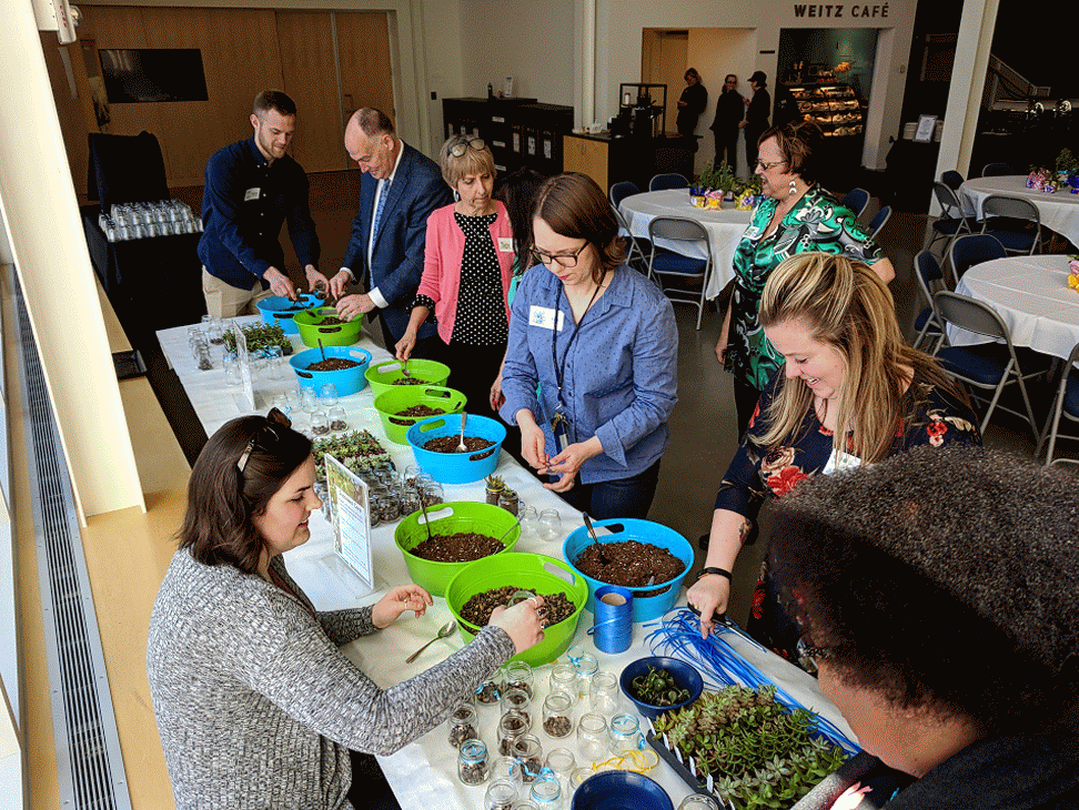 Build a succulent plant!