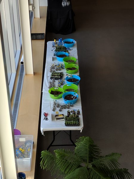 Succulent Creation Station