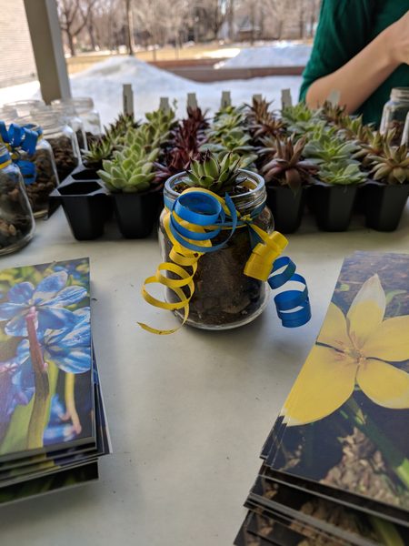 An example of a succulent creation