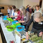 Staff working on their plant creation