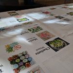 Nametags