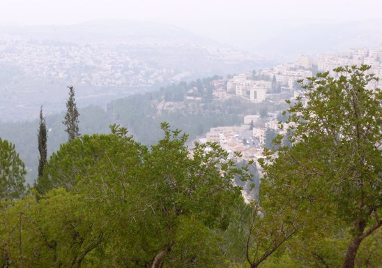 Jerusalem Hills