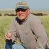 Author Dan O'Brien