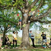 A tree filled with hanging books; students and professors gather in and around it